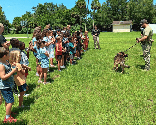 K9 Demonstration